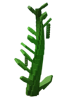 Beanstalk