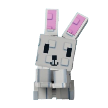 Bunny Pet