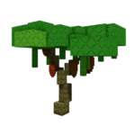 Cacao