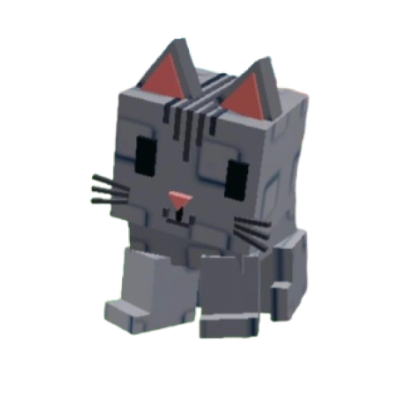 Cat Pet