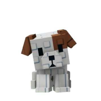 Dog Pet