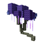 Purple Moon Blossom